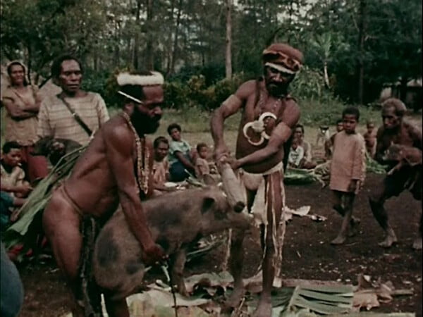 Bộ tộc ăn thịt người-Cannibal Holocaust VietNamese Subtitle